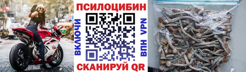 дарнет шоп  Евпатория  Галлюциногенные грибы Psilocybine cubensis 