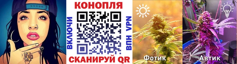 Каннабис MAZAR  купить наркоту  Евпатория 